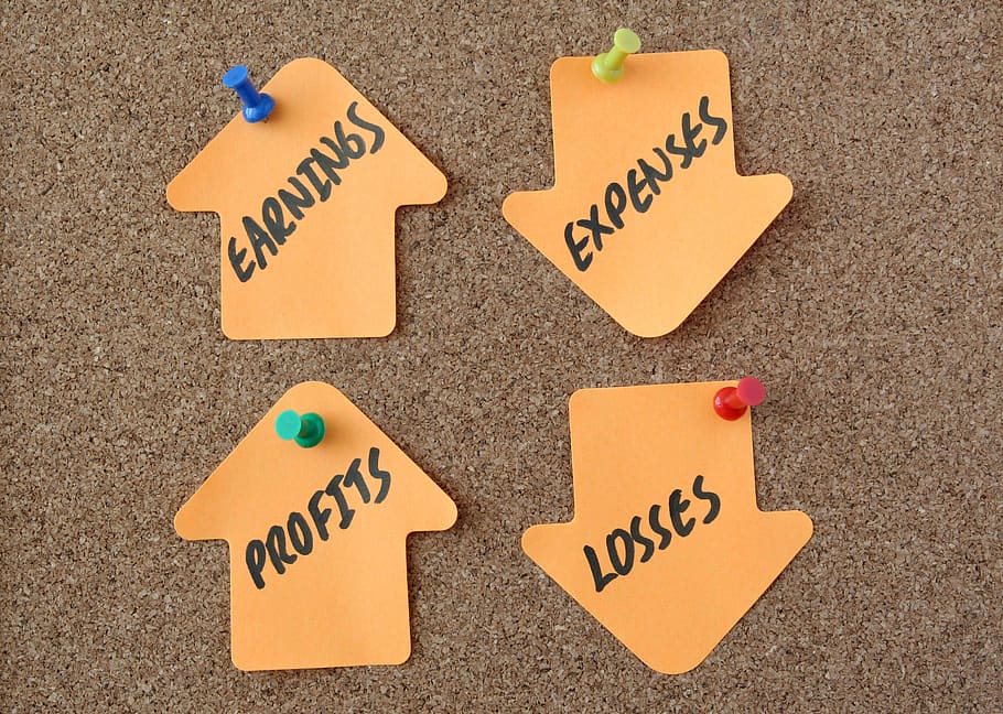 CFO’s Strategic Guide: Transitioning a Startup to Profitability and Sustainability